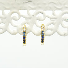 Load image into Gallery viewer, LULI Earrings